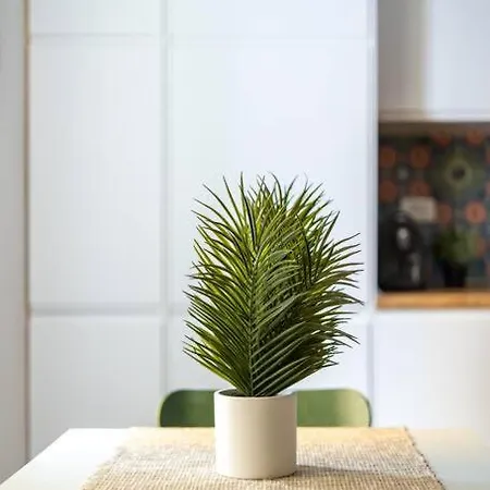 Casa Pratello 博洛尼亚