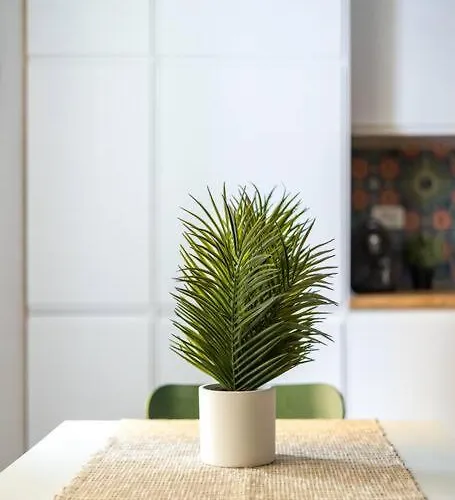 Casa Pratello Болонья